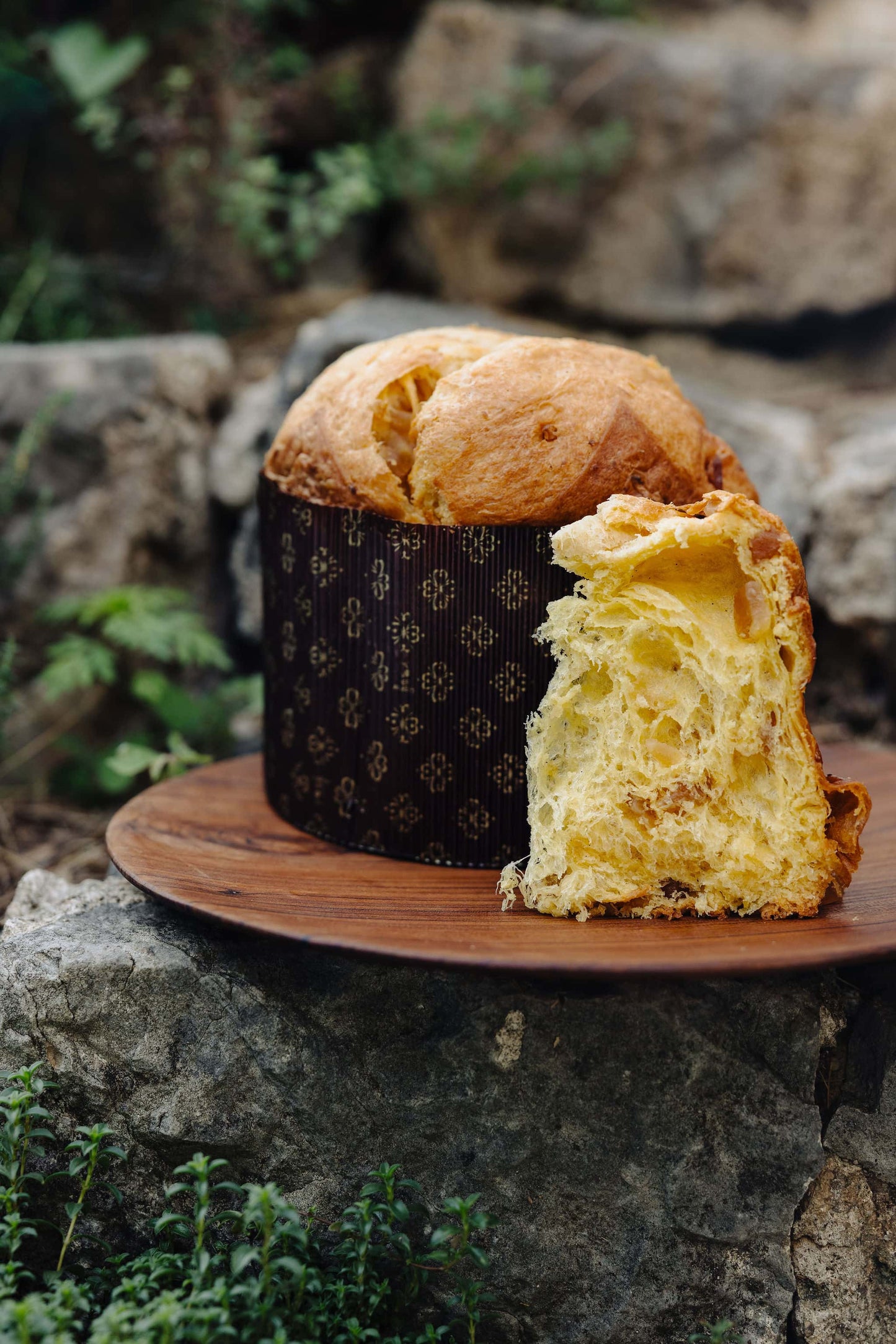 Le panettone Citron
