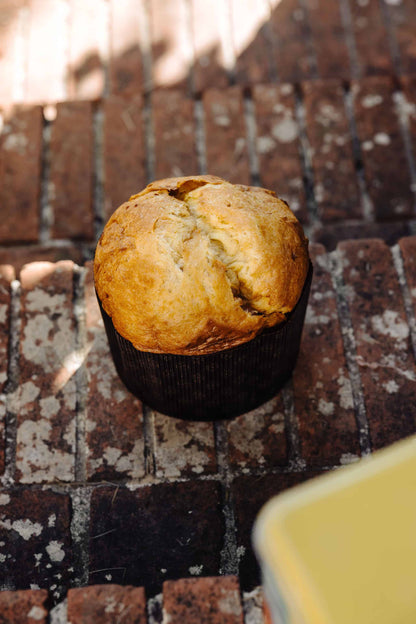 Le panettone Citron