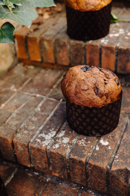 Le panettone Chocolat