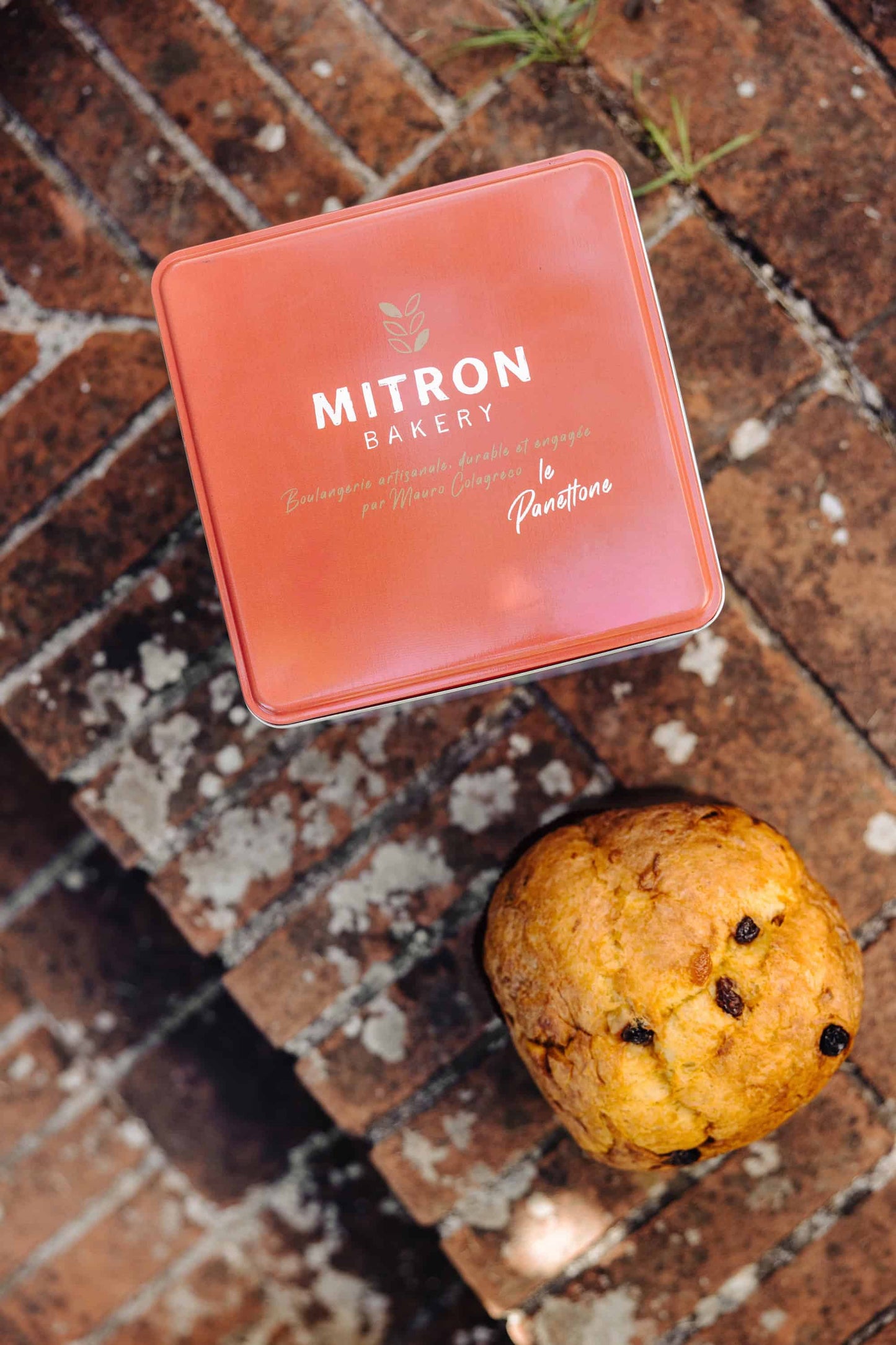 Le panettone Classique