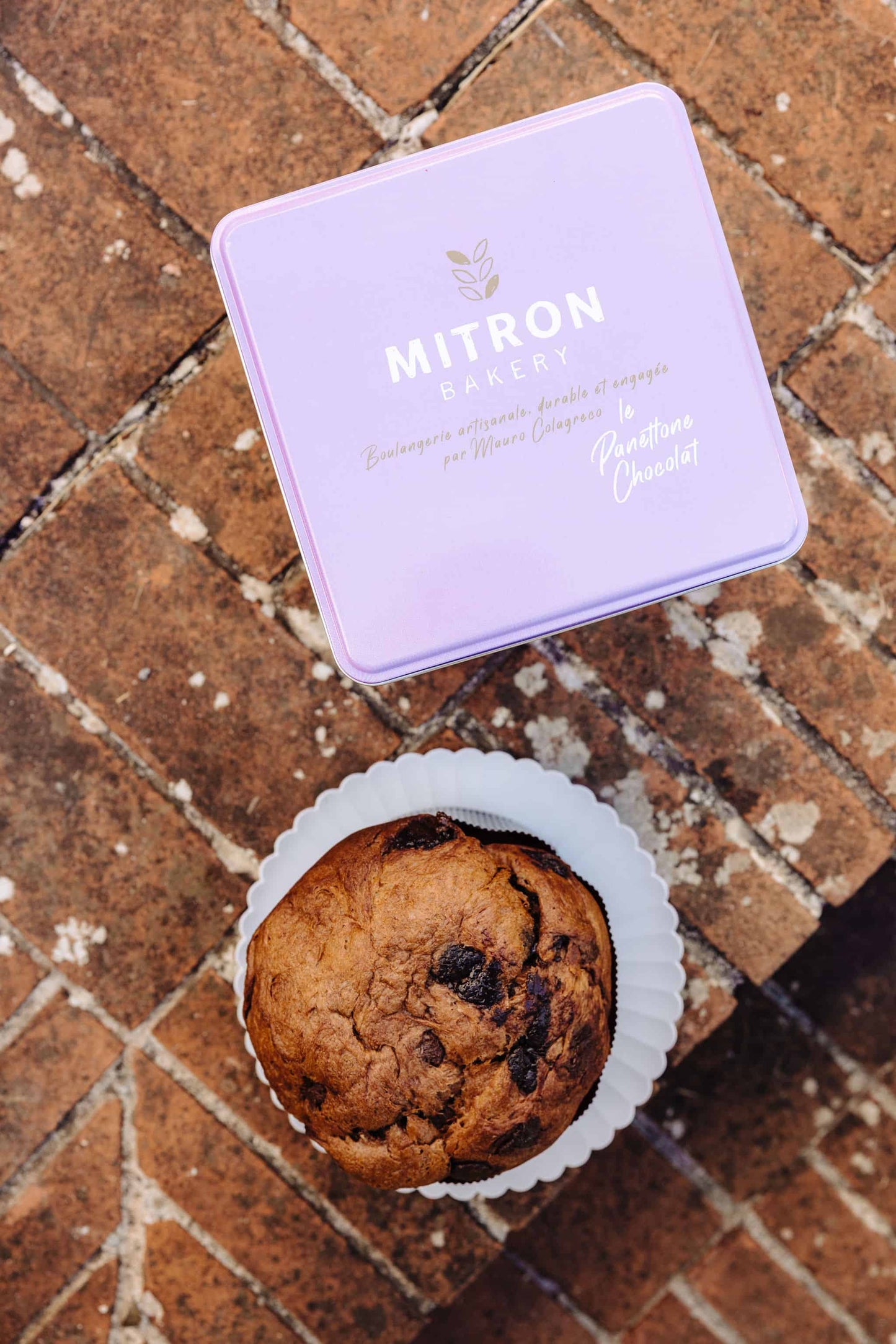 Le panettone Chocolat