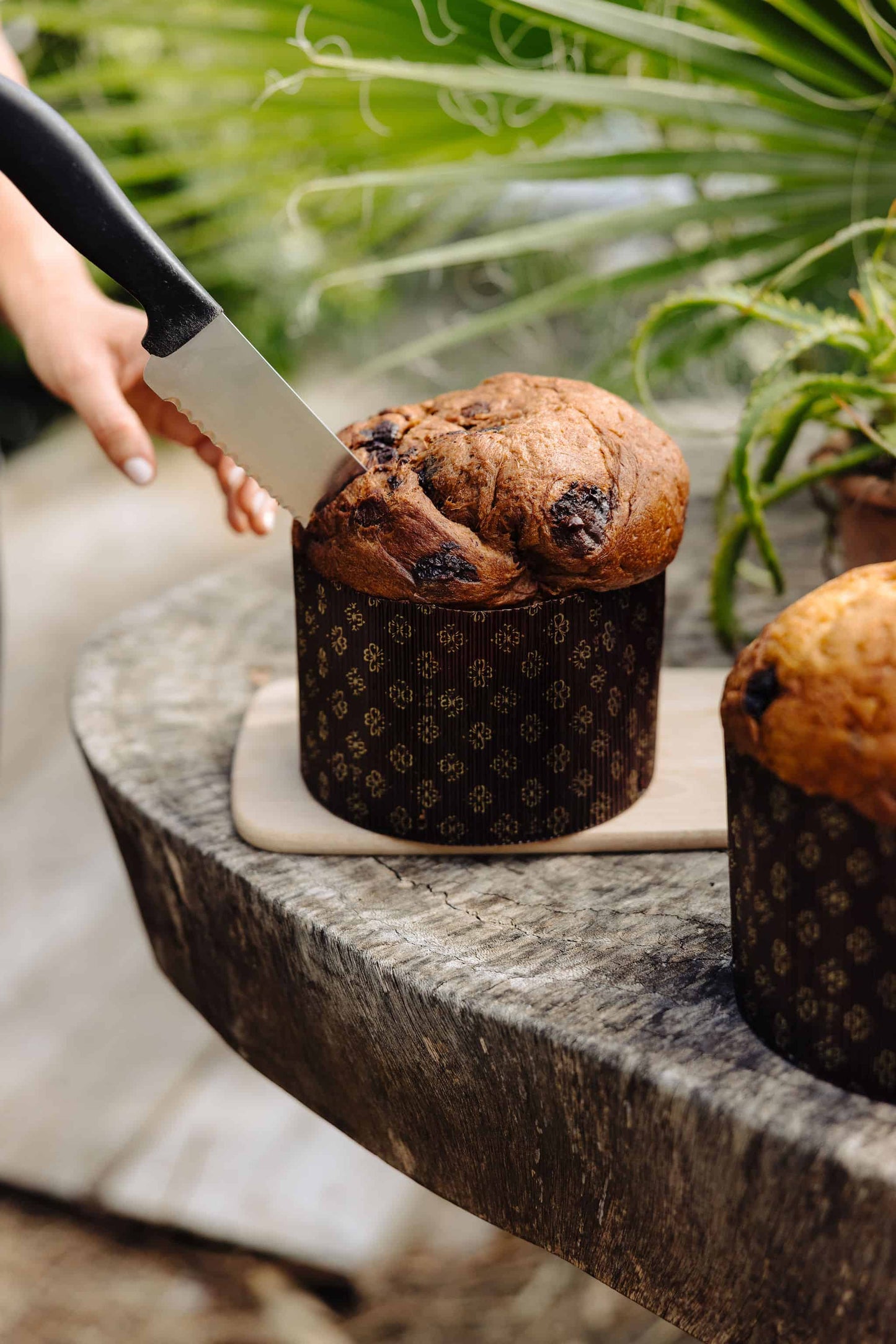 Le panettone Chocolat