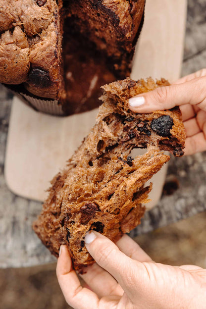 Le panettone Chocolat