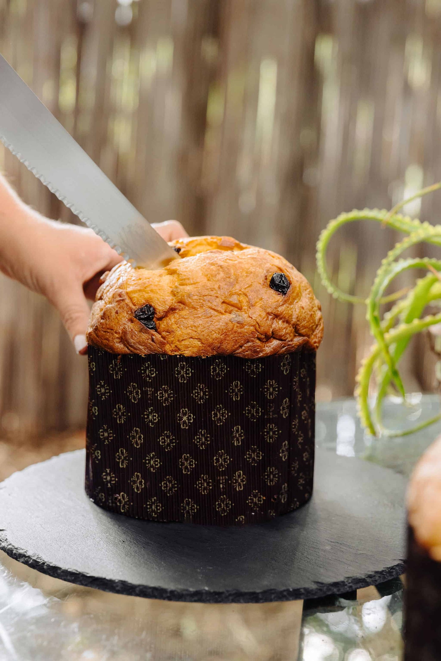 Le panettone Classique