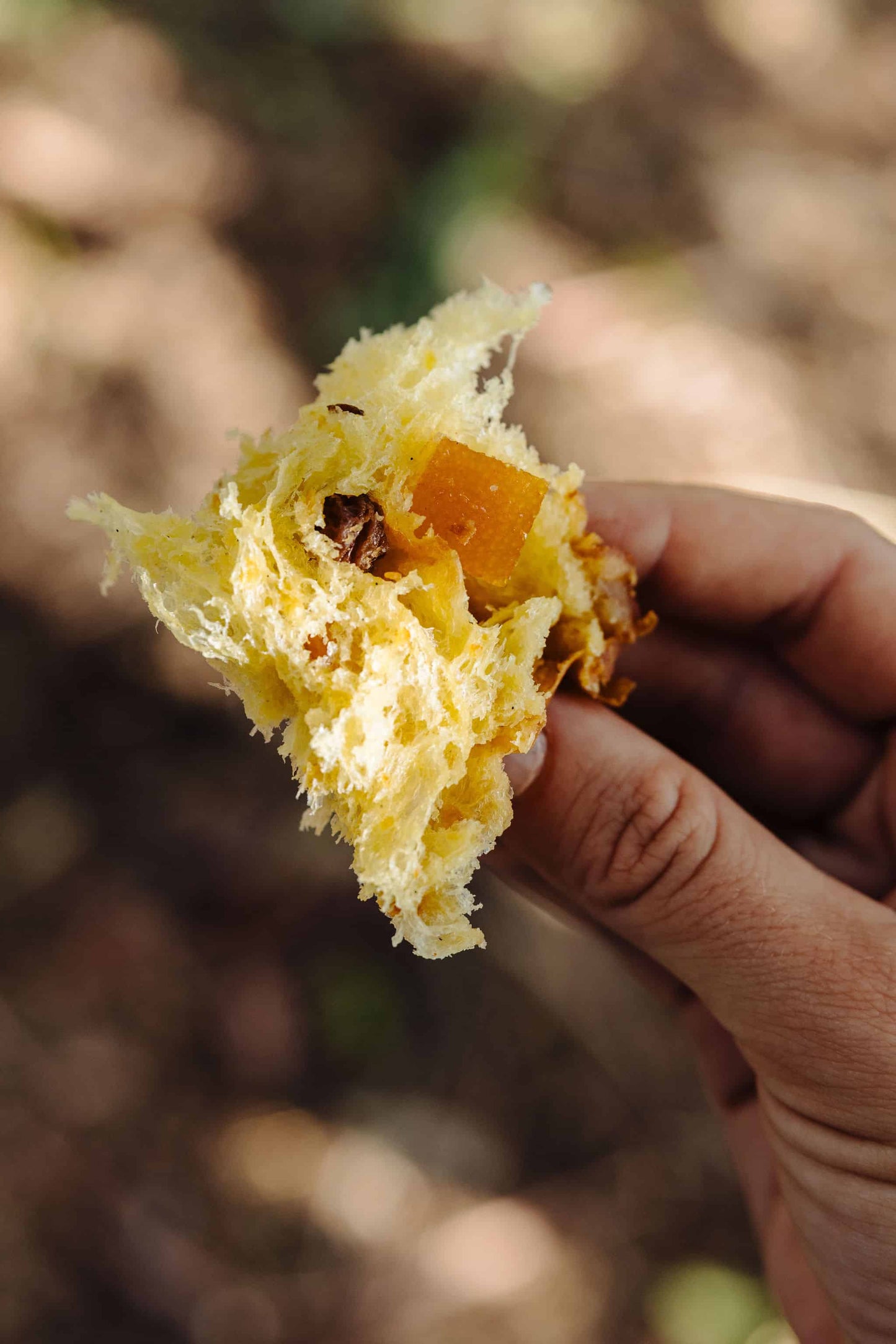 Le panettone Classique